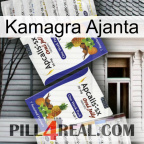 Kamagra Ajanta 12